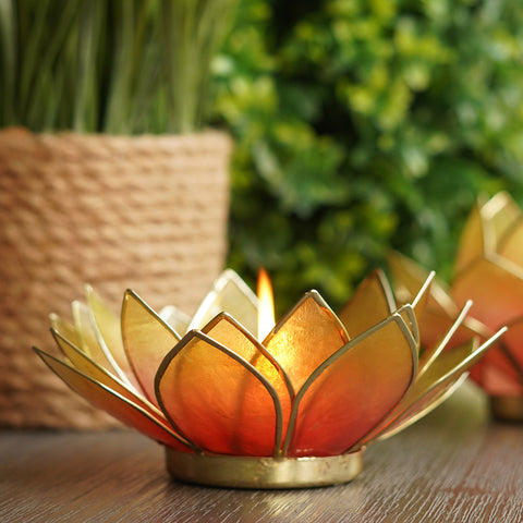 Pink & Yellow Ombre 21 Petals Capiz tealight Holder