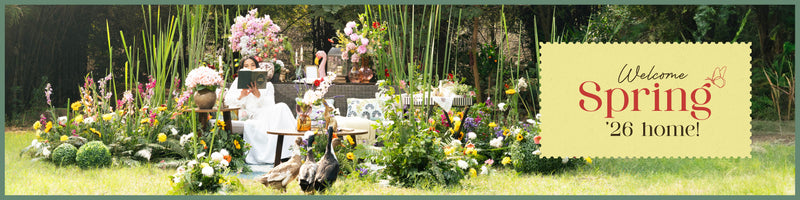 Spring Summer Collection