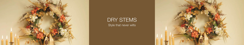 Dry Stems