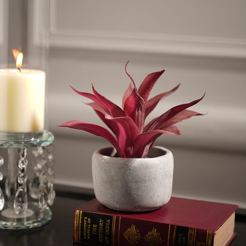 Red Artificial Agave Plant with Cement Pot