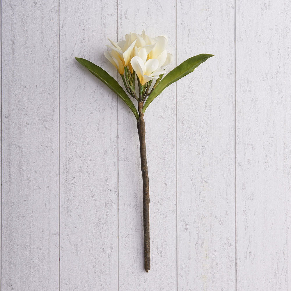 White Frangipani Artificial Stem
