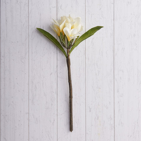 White Frangipani Artificial Stem