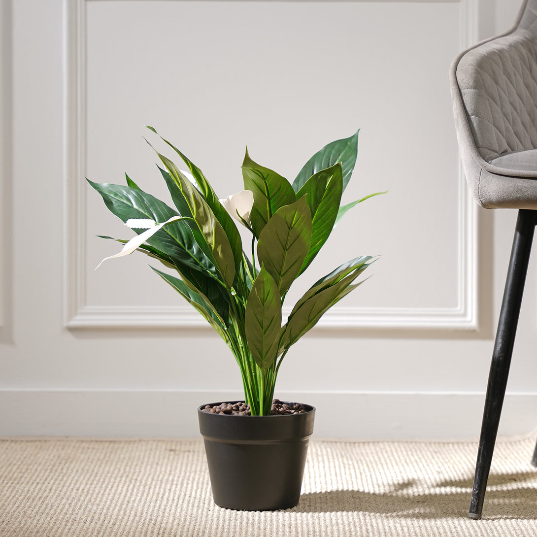 chinese peace lily plant Shop Green Faux Peace Lily Potted Plant