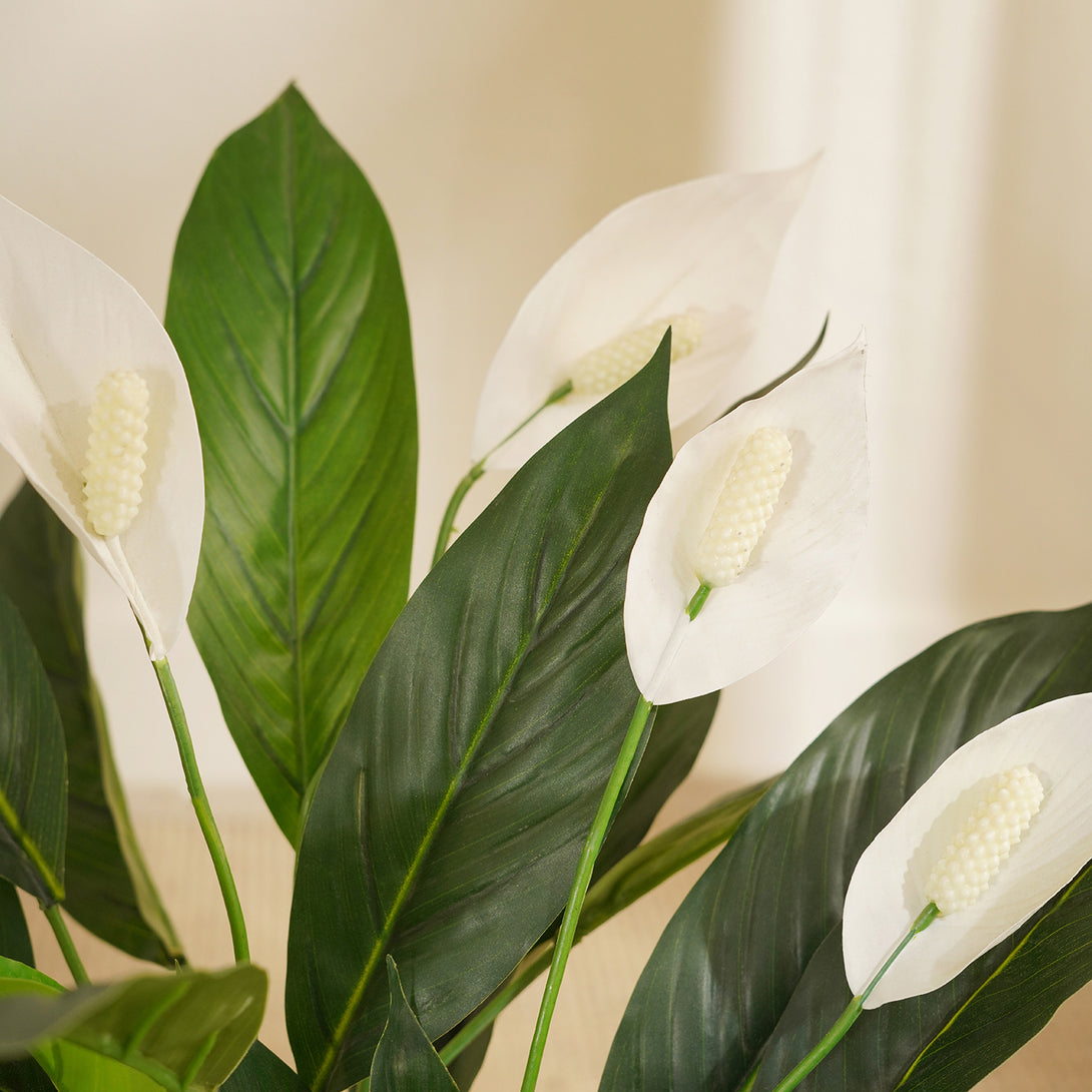 peace lily price in india Shop Green Faux Peace Lily Potted Plant