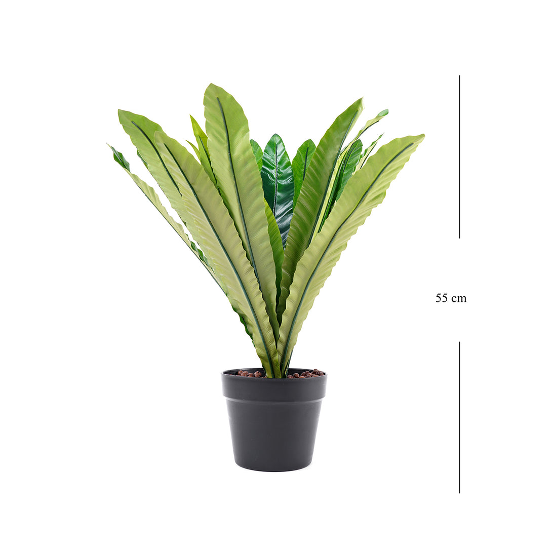 artificial birds nest fern Shop Green Artificial Birds Nest Fern Potted Plant