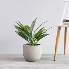 Grey Round Classic Planter - Large