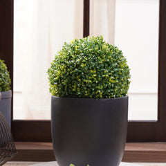 Green Artificial Seagrass Plant