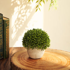 Green Artificial Round Grass with Cement Pot