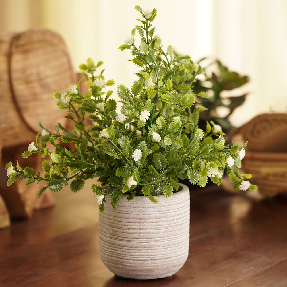 Green Artificial Plectranthus Plant with Cement Pot