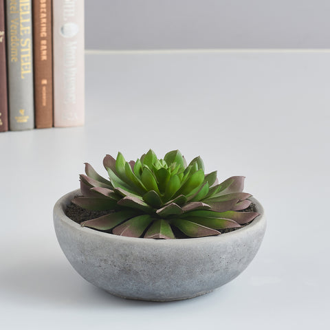 Green  Purple Artificial Succulent Plant With Cement Pot