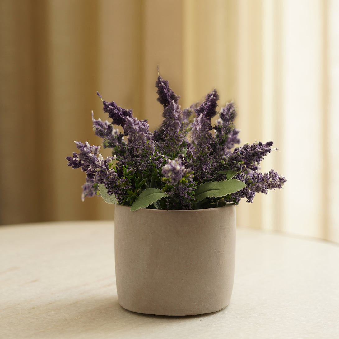 small artificial lavender plants Shop Purple Artificial Lavender Plant with Cement Pot