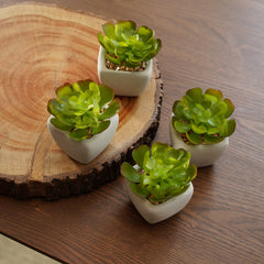 Set of 4 Green Artificial Succulent Potted Plants