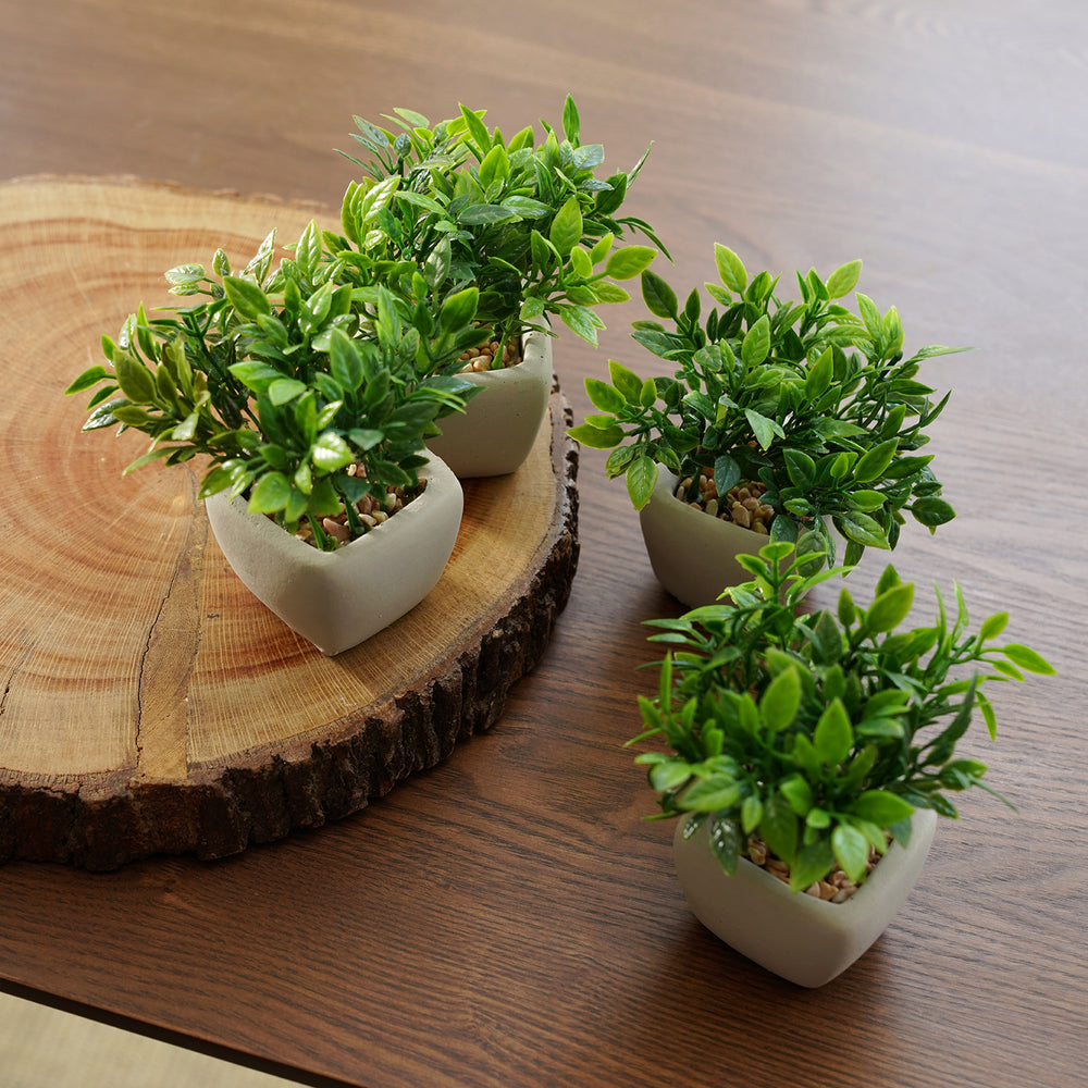 Set of 4 Green Artificial Plant with Cement Pot