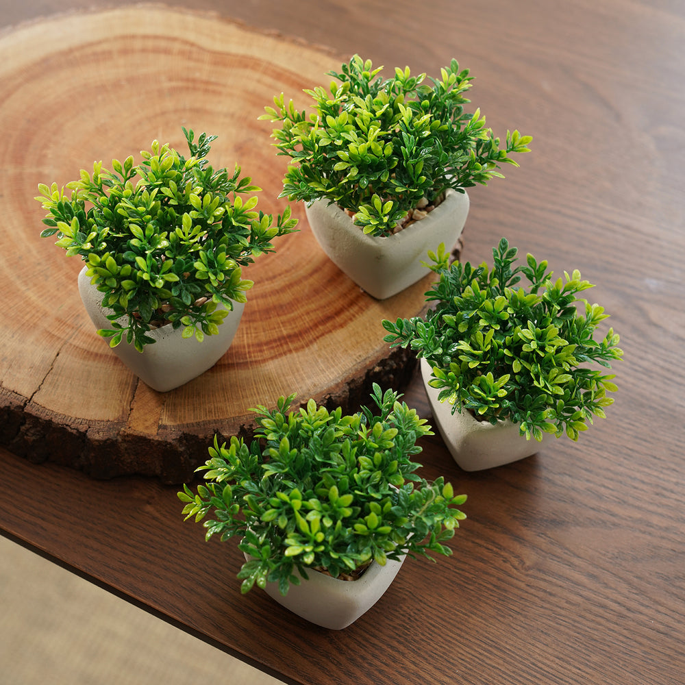 Set of 4 Green Artificial Plant with Cement Pot