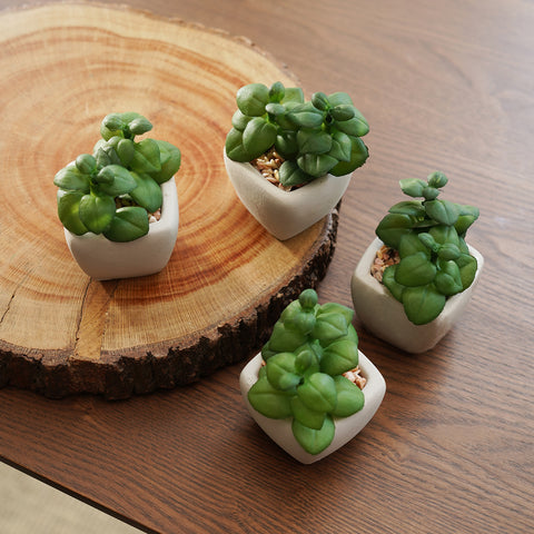 set of 4 Green Artificial Succulent Plant with Pot