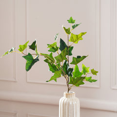 Ivy Leaf Spray