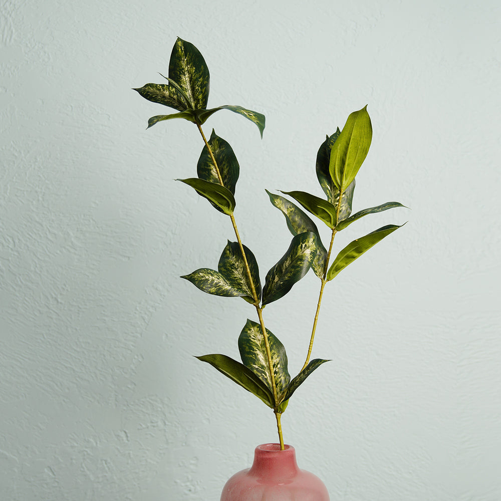 Draceana Leaf Spray