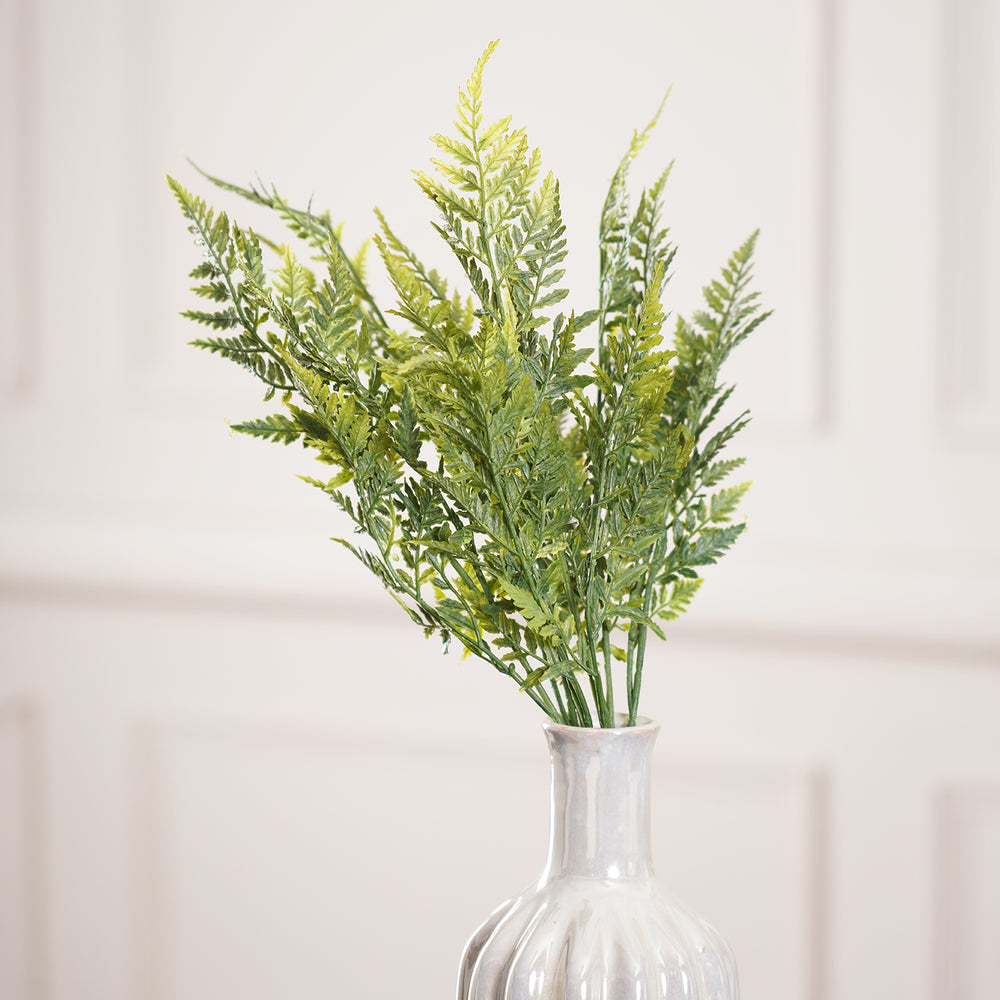 CYPRESS BUSH, Green
