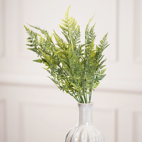 CYPRESS BUSH, Green