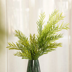 Asparagus Faicatus Spray