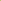 Asparagus Faicatus Spray