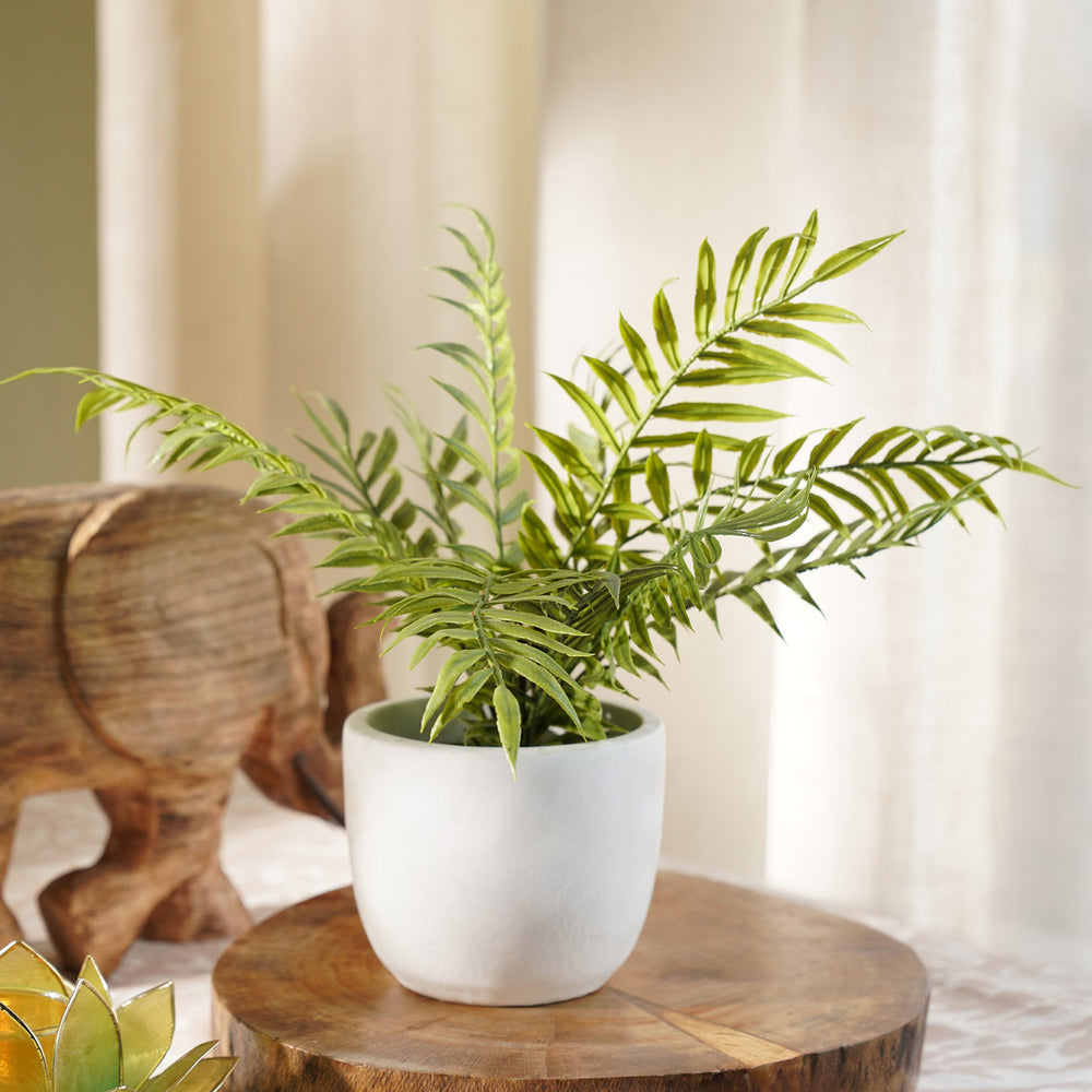 Green Faux Boston Fern With Cement Pot