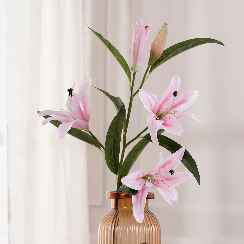 Lily Peach Stem