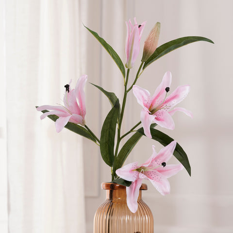 Lily Peach Stem