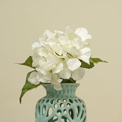 Hydrangea Ivory Stem