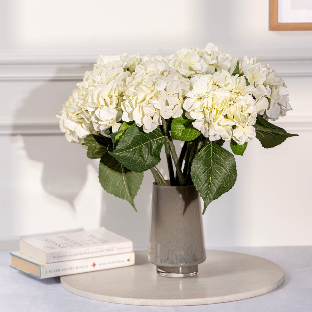Hydrangea Ivory Stem