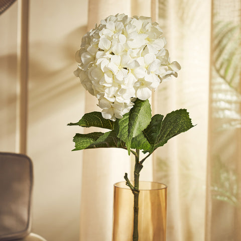 Hydrangea Ivory Stem