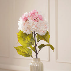 Pink Hydrangea