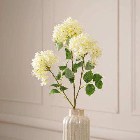 Crape Myrtle Ivory Stem