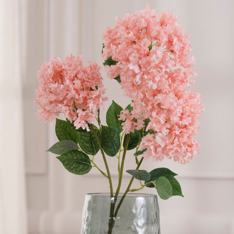 Crape Myrtle Peach Stem