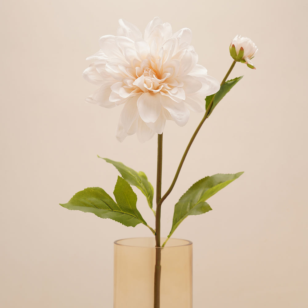 Dahlia Ivory Stem