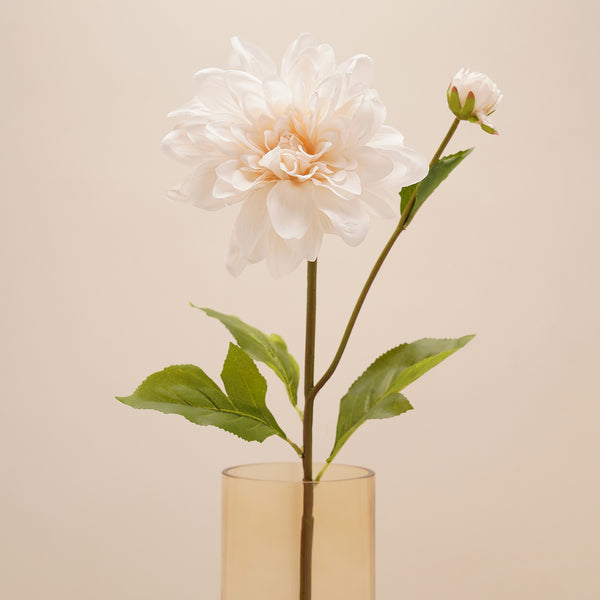 Dahlia Ivory Stem