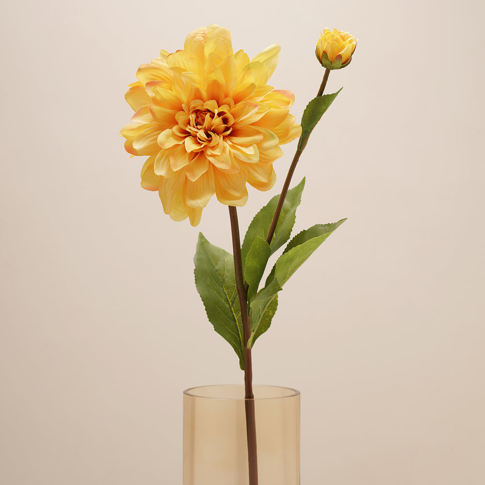 Dahlia Yellow Stem