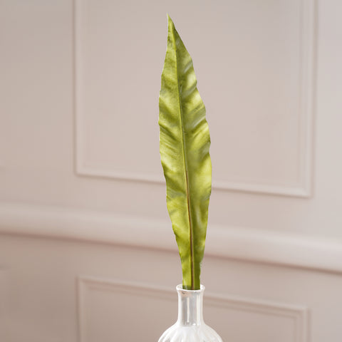 Apista Spray