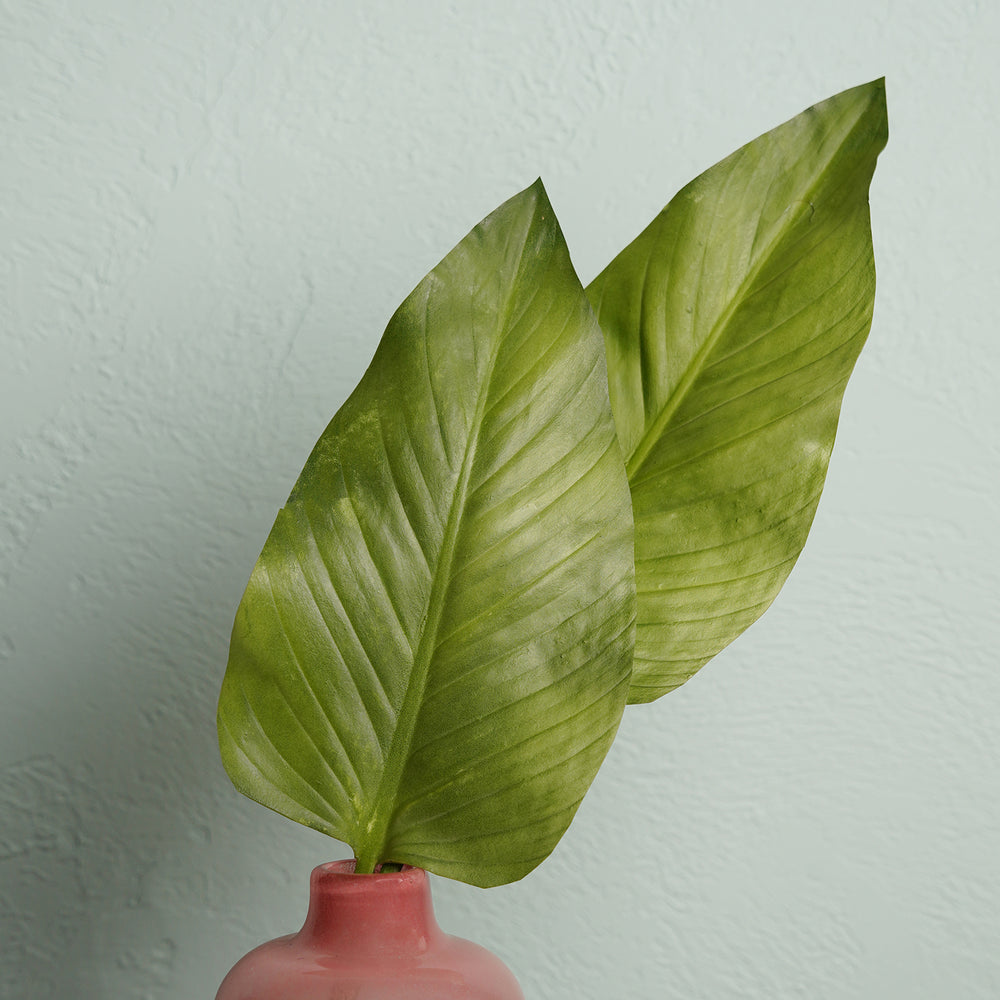 Green Calla Leaf Spray