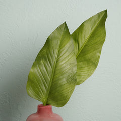 Green Calla Leaf Spray