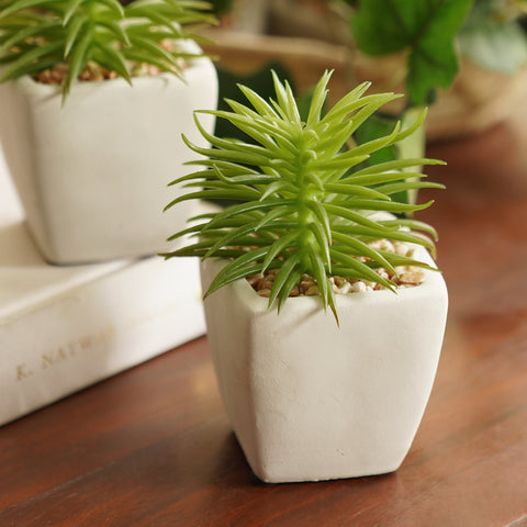 Green Artificial Cactus Succulent Plant in Cement Pot