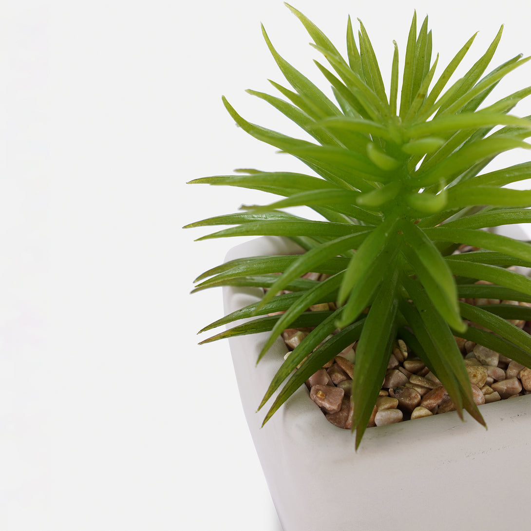 6 Pots Small Artificial Succulent Plants Mini Fake Faux Suculentas Pot Shelf Kitchen Counter Office Decor Tiny Miniature Desk Plant Succulents Decora 6 Pots Small Artificial Succulent Plants Mini Fake Faux Suculentas Pot Shelf Kitchen Counter Office Decor Tiny Miniature Desk Plant Succulents Decora