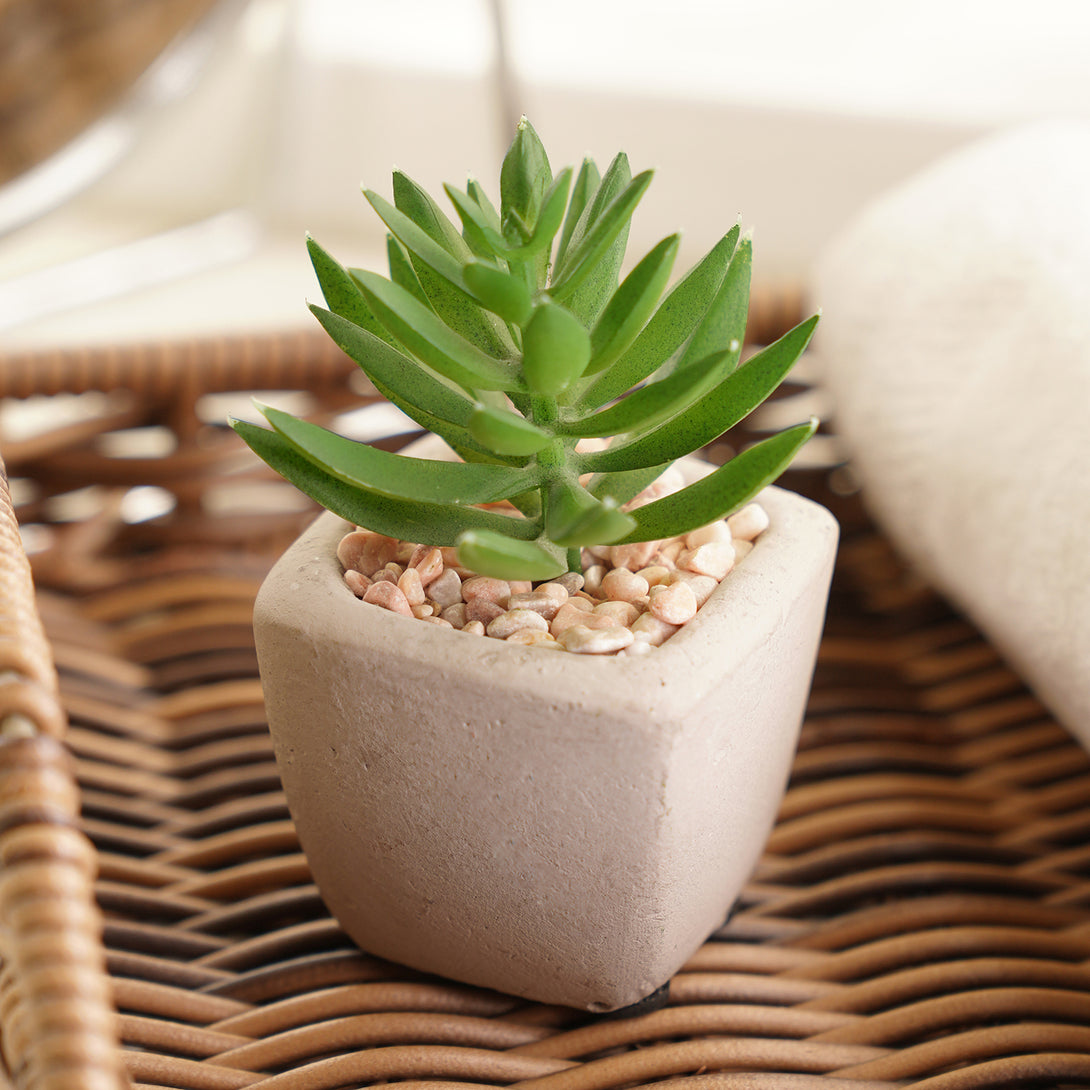 artificial succulents online india Shop Green Artificial Succulents With Pot