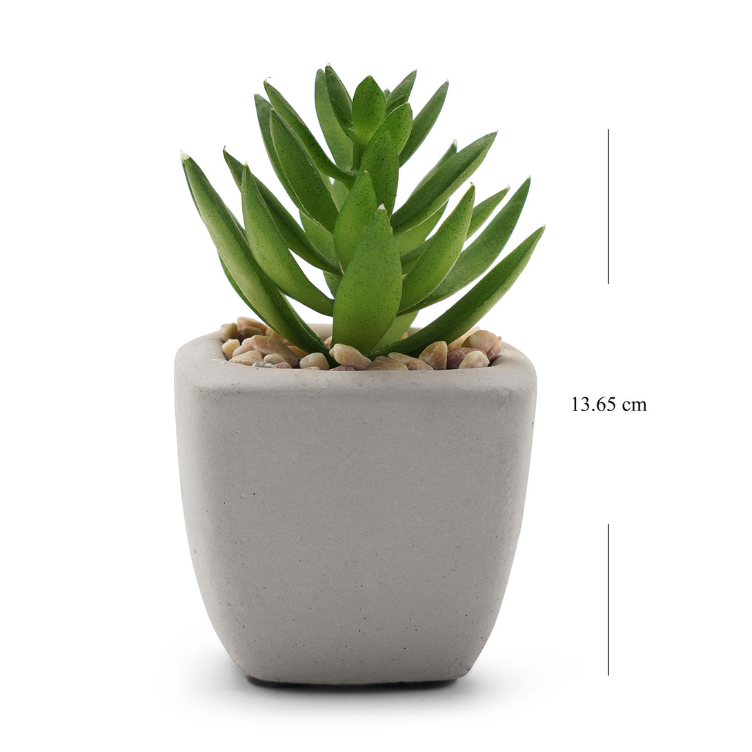 artificial succulent plants online india Shop Green Artificial Succulents With Pot