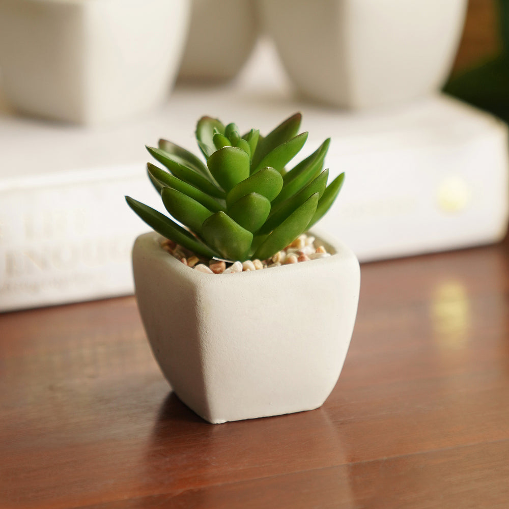 Green Artificial Cactus Succulent Plant in Cement Pot