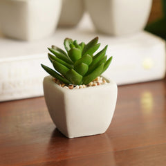 Green Artificial Cactus Succulent Plant in Cement Pot