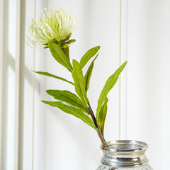 Ivory Protea Spray