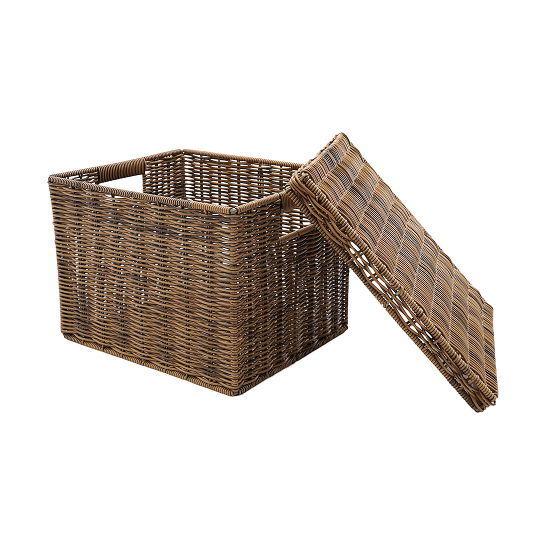 Shop Light Brown Resin Wicker Multipurpose Storage Box With Lid - at ...