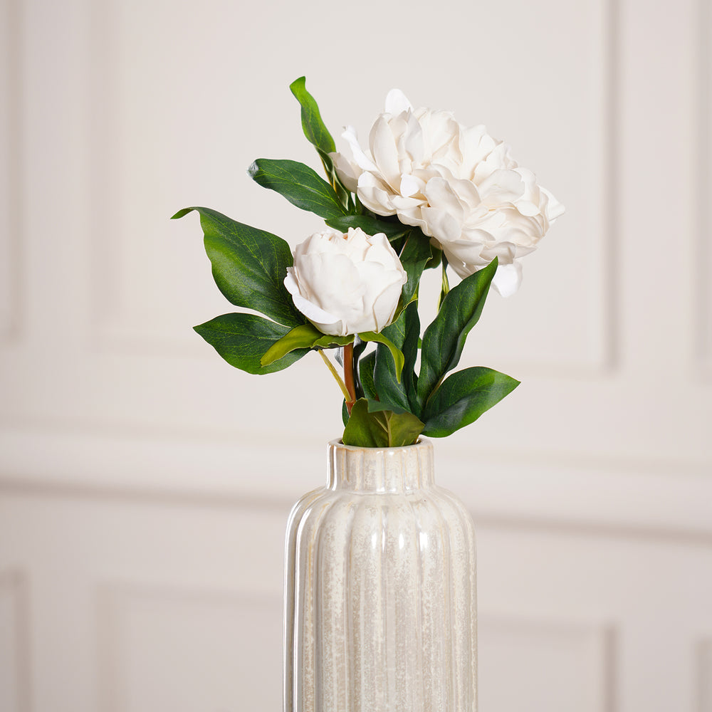 Japanese Peony Spray, CREAM
