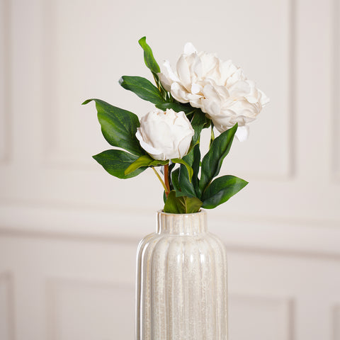 Japanese Peony Spray, CREAM